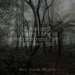 50 Ambient Rainstorm Recordings for Winter 50 - Sounds Of Nature : Thunderstorm, Rain