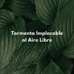 Tormenta Implacable Al Aire Libre - Tormentas eléctricas