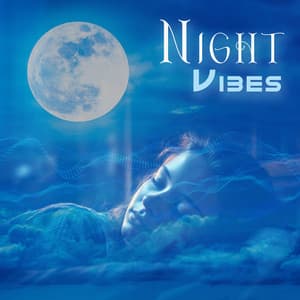 Night Vibes: Chill Sleep Music - Tropical Chill Music Land