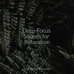 Deep Focus Sounds for Relaxation - Spa