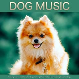 Dog Music: Relaxing Instrumental Piano For Dogs, Calming Music For Pets and Soothing Music For Dogs - Dog Music