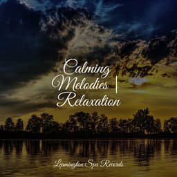 Calming Melodies | Relaxation - Relaxing Sounds Of Nature