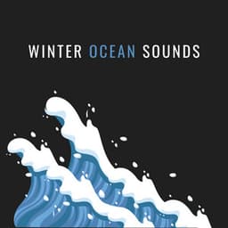Winter Ocean Sounds - Ocean Waves