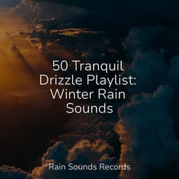 50 Tranquil Drizzle Playlist: Winter Rain Sounds - Weather Factory