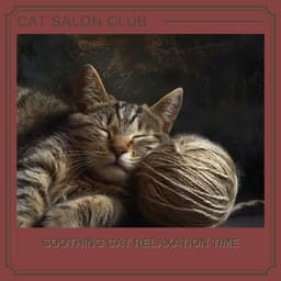 Soothing Cat Relaxation Time - Cat Salon Club