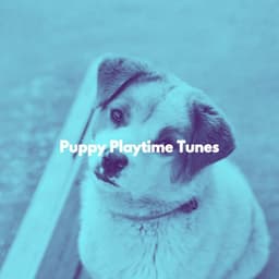 Puppy Playtime Tunes - Musica Relajante para Perros Momentos
