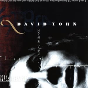 Tripping Over God - David Torn