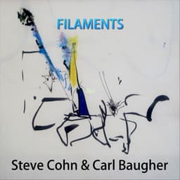 Filaments - Steve Cohn