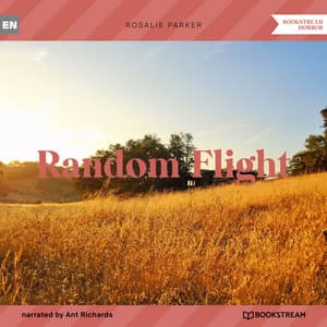 Random Flight - Ant Richards
