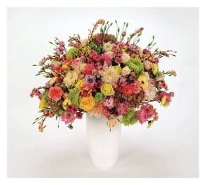 Schall und Wahn - Tocotronic