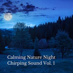 Calming Nature Night Chirping Sound Vol. 1 - Sleep Repeat