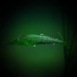 Eternal Solar Rhythm - Eon Wilder