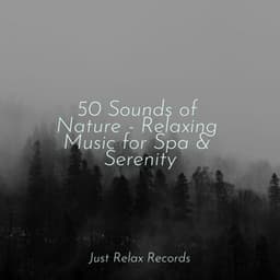 50 Sounds of Nature - Relaxing Music for Spa & Serenity - Música ambiental relajante