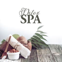 Detox SPA: Music for Spa & Wellness, Beauty Treatments, Facial Rituals - Wellness Spa Oasis