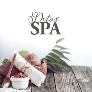 Detox SPA: Music for Spa & Wellness, Beauty Treatments, Facial Rituals - Wellness Spa Oasis