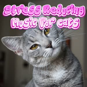 Kitty Cat Lullabies Relaxing Stress Reducing Music For Cats - Stress Reducing Music For Cats