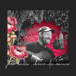 Abricó-de-Macaco - João Bosco