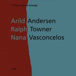 If You Look Far Enough - Arild Andersen