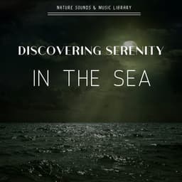 Discovering Serenity in the Sea - Nature Sounds & Music Library