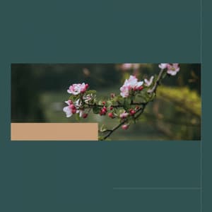 Comforting - Relaxing Rituals - Coffee House Playlist