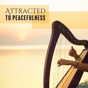 Attracted to Peacefulness - Marie Gade