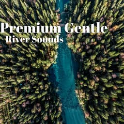 Premium Gentle River Sounds - River Sleep Aid
