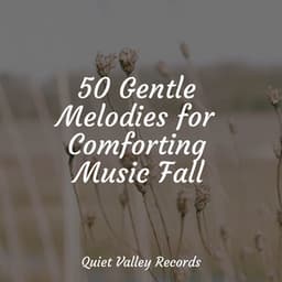 50 Gentle Melodies for Comforting Music Fall - A Sudden Rainstorm