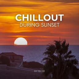 Chillout During Sunset: Electro Chill Vibes for Relaxing Evenings - DJ Tzi-tzi
