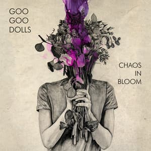 Chaos In Bloom - The Goo Goo Dolls