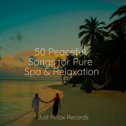 50 Peaceful Songs for Pure Spa & Relaxation - Relaxing Spa Music