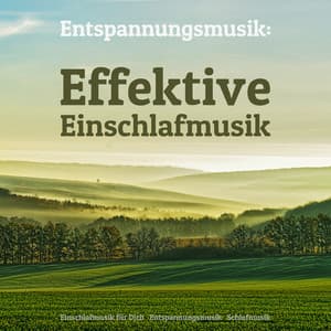 Entspannungsmusik: Effektive Einschlafmusik - Einschlafmusik für Dich