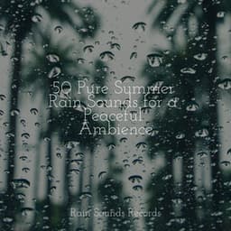 50 Pure Summer Rain Sounds for a Peaceful Ambience - MEDITATION SPA