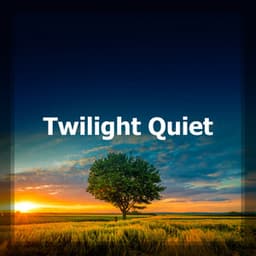 Twilight Quiet - Baby Lullabies For Sleep