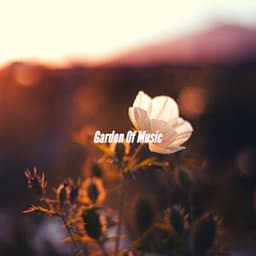 Garden Of Music - Hotel Lobby Jazz Music