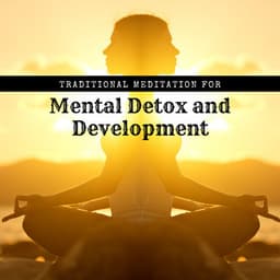 Traditional Meditation for Mental Detox and Development - Zen Mental Relax Sanctuary