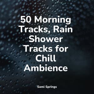 50 Morning Tracks, Rain Shower Tracks for Chill Ambience - Nature Noise