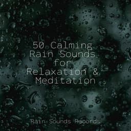 50 Calming Rain Sounds for Relaxation & Meditation - Relaxing Spa Music