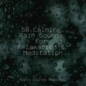 50 Calming Rain Sounds for Relaxation & Meditation - Relaxing Spa Music