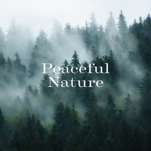 Peaceful Nature: Drift-Off to Sleep with Soothing Birds Chirping - Rain Sounds & Nature Sounds