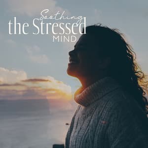 Soothing the Stressed Mind: Peaceful Music for Healing and Stress Relief - Emotional Healing Intrumental Academy