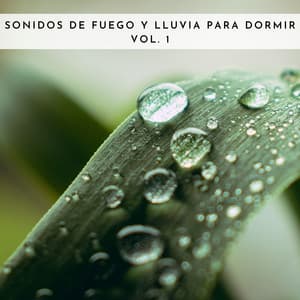 Sonidos De Fuego Y Lluvia Para Dormir Vol. 1 - Sonidos De Truenos y Lluvia