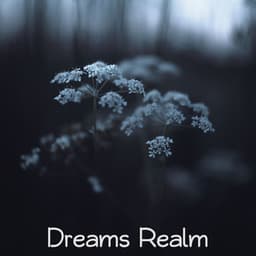 Dreams Realm - Meeresrauschen