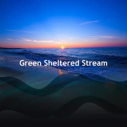 Green Sheltered Stream - Sounds of the Jungle
