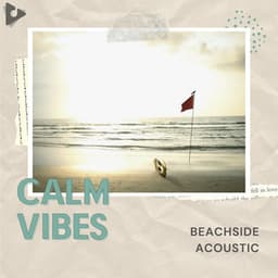 Beachside Acoustic - Calm Vibes