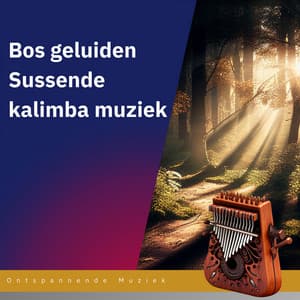 Bos geluiden, Sussende kalimba muziek - Ontspannende Muziek
