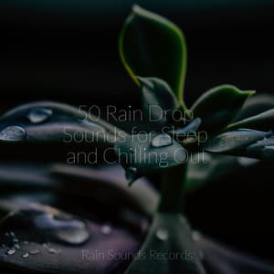 50 Rain Drop Sounds for Sleep and Chilling Out - Lullabies for Deep Meditation