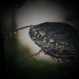 Ethereal Ascention's Embrace - Minds United