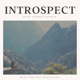 Introspect - Music for Deep Meditation