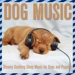 Dog Music: Dreamy Soothing Sleep Music for Dogs and Puppies - Relaxmydog