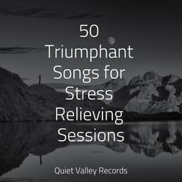 50 Triumphant Songs for Stress Relieving Sessions - Organic Nature Sounds